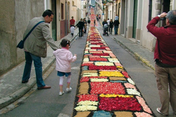 Argentona 2014/2014, catifes flors