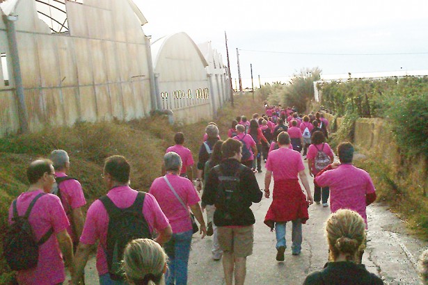 Ciutat 2014/2015, Caminada per l'alzheimer