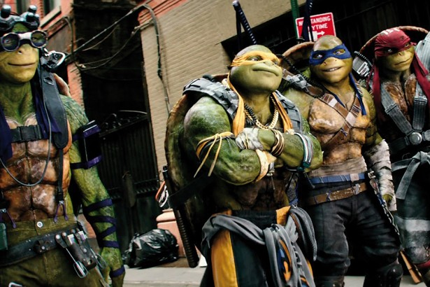 Cinema 2014/2015, critica Ninja Turtles