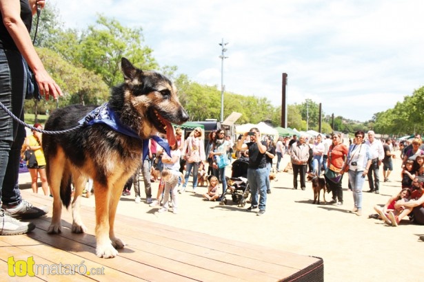 1a Fira Animalista Mataró