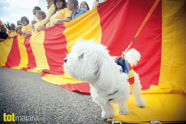 Ciutat 2013, 3 via catalana