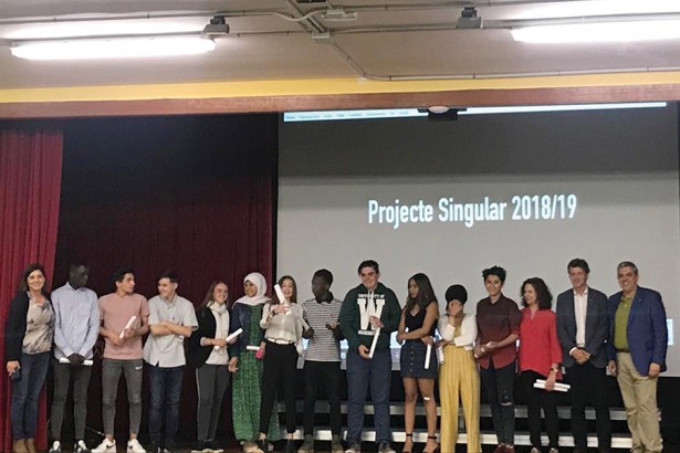 Projecte Singulars 2019