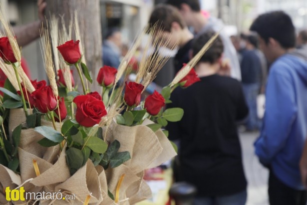 Sant Jordi 2014