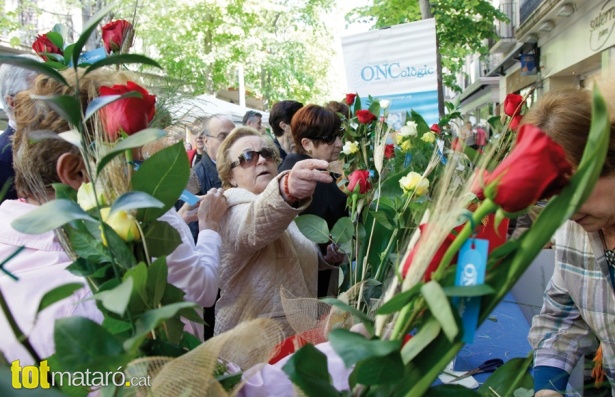 Sant jordi15