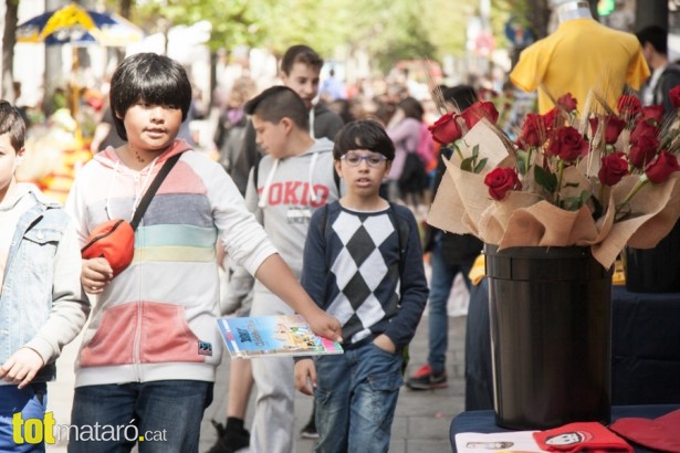 Sant Jordi 2015