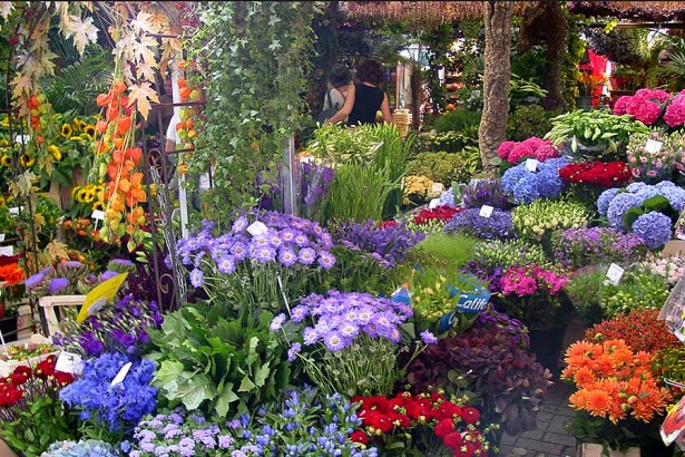 Maresme 2014/2015, mercat flor i jardi llavaneres